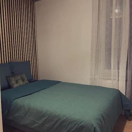 Nancy Appartement En Triplex Plein Centre מראה חיצוני תמונה